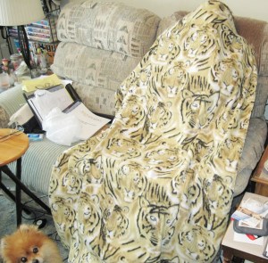 Quillow - Tiger Fleece side