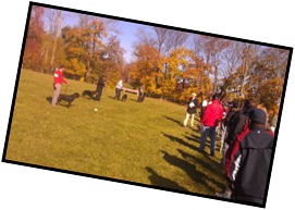 2011-11-05