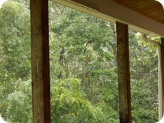 DSCN0279