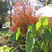 View album View album