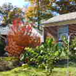 View album View album