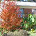 View album View album