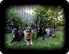 KCzar-Bri-Zonya-Hiccup