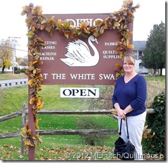 2012-11-12-Karen-QuiltersQuest