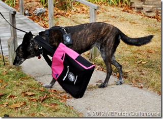 QQ-2012-Z-CarryBag