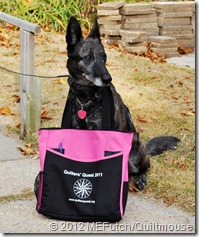 QQ-2012-Z-wBag