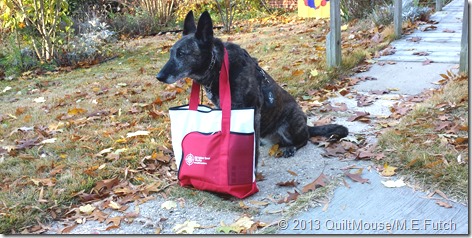 2013-QuiltersQuest-ReadytoGo