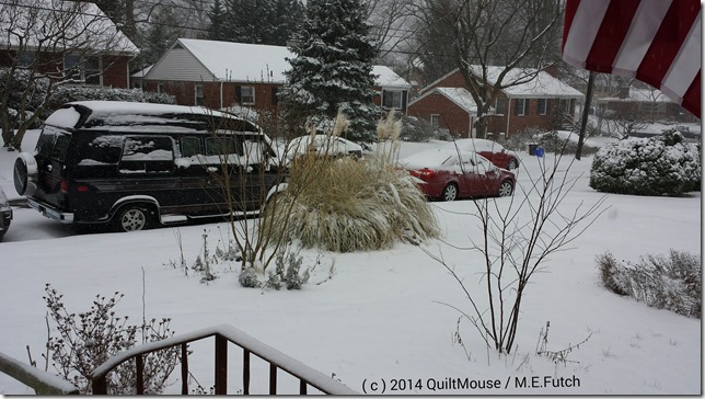 2014-01-21-Snow
