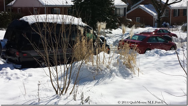 2014-02-14-Snow