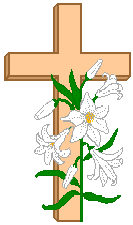 cross01