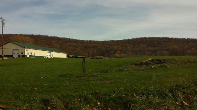 20141108_121151.jpg image