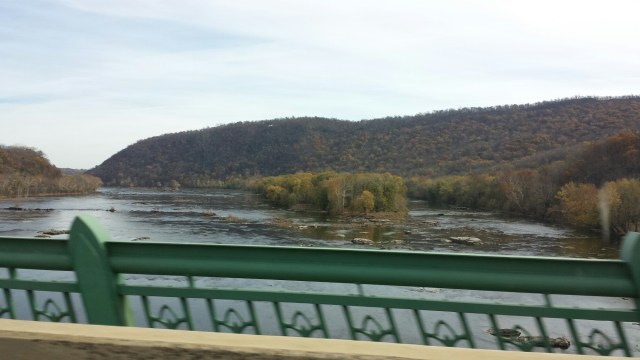 20141108_121812.jpg image