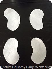 KidneyPics
