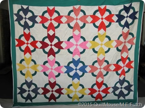 TulipCircle2