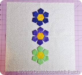 MEF-EmilyBreclaw-EPP-Partial