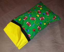 Evan's Travel Pillow