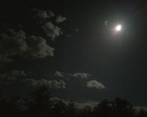 20180428_072707.jpg