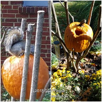 20181030_054353-2.jpg